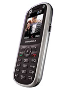 Best available price of Motorola WX288 in Japan
