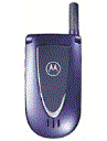 Best available price of Motorola V66i in Japan